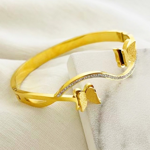 Stainless Steel Brand Bangle-RR221027-Rrs04204-24