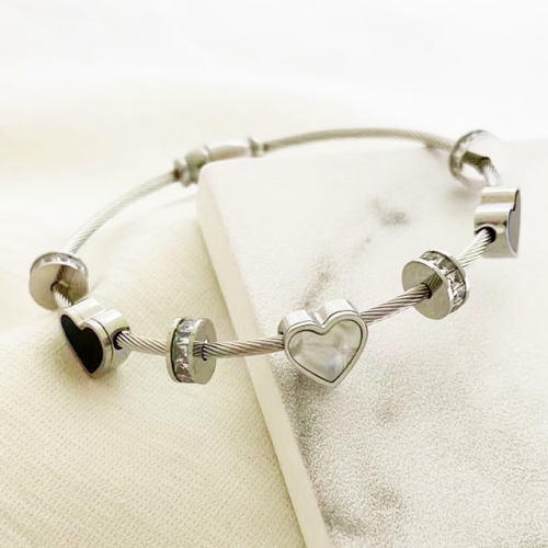 Stainless Steel Brand Bangle-RR221027-Rrs04216-23