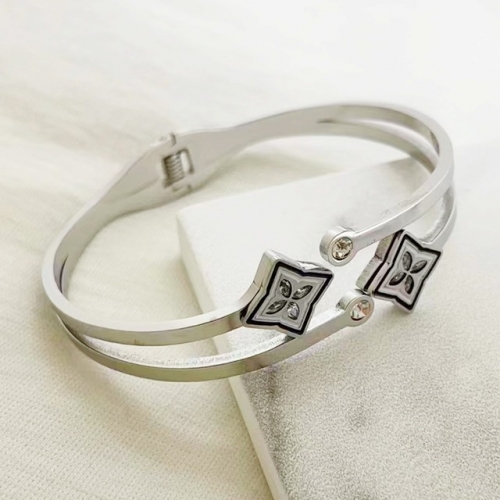 Stainless Steel Brand Bangle-RR221027-Rrs04213-23