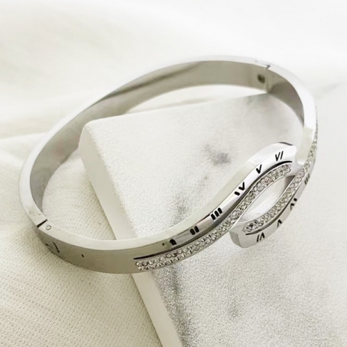 Stainless Steel Brand Bangle-RR221027-Rrs04205-23