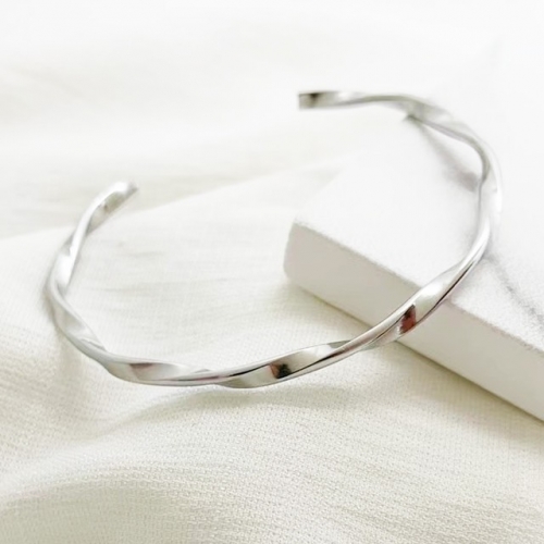 Stainless Steel Brand Bangle-RR221027-Rrs04199-14