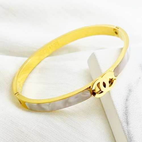 Stainless Steel Brand Bangle-RR221027-Rrs04219-24