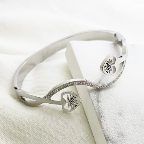 Stainless Steel Brand Bangle-RR221027-Rrs04201-23