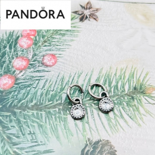 Stainless Steel Pandor*a Earrings-ZN221202-P12DT (1)