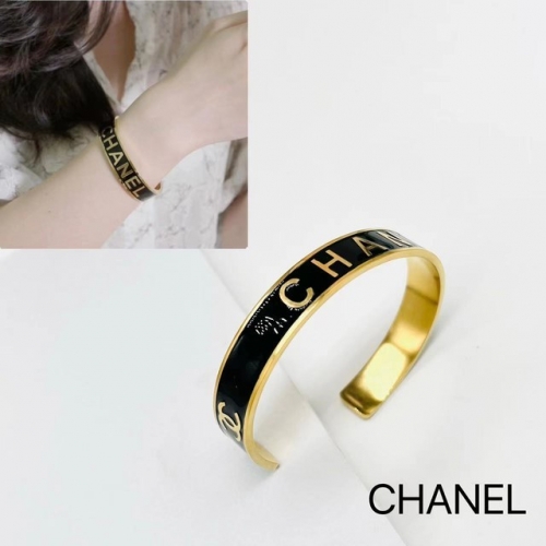 Stainless Steel Brand Bangle-ZN221206-P17CB (2)