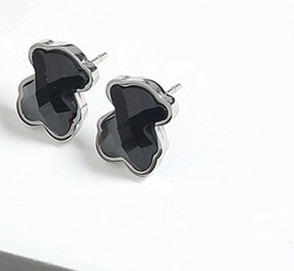 Stainless Steel TOU*S Earrings-SN230206-TPCE0022-S-B-9