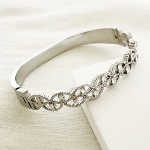 Stainless Steel Brand Bangle-RR230223-Rrs04248-23