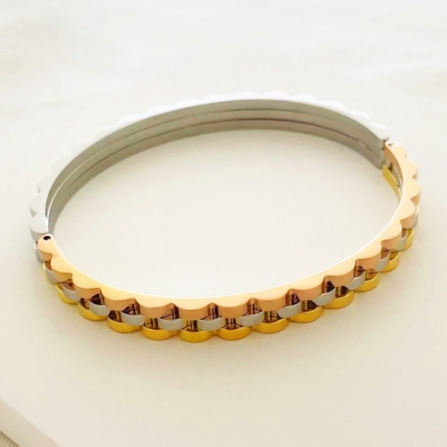 Stainless Steel Brand Bangle-RR230223-Rrs04275-24