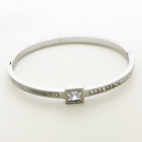 Stainless Steel Brand Bangle-RR230223-Rrs04244-23