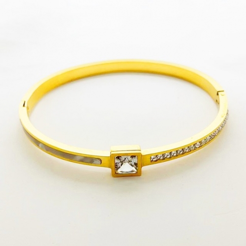 Stainless Steel Brand Bangle-RR230223-Rrs04245-24