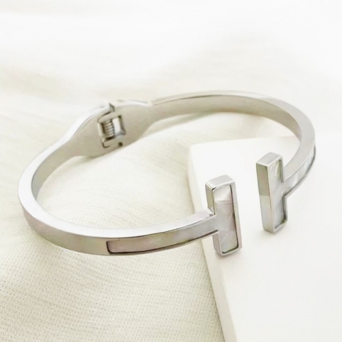 Stainless Steel Brand Bangle-RR230223-Rrs04252-23