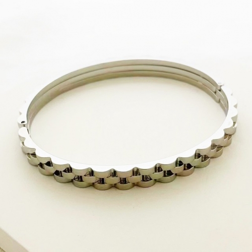 Stainless Steel Brand Bangle-RR230223-Rrs04273-23