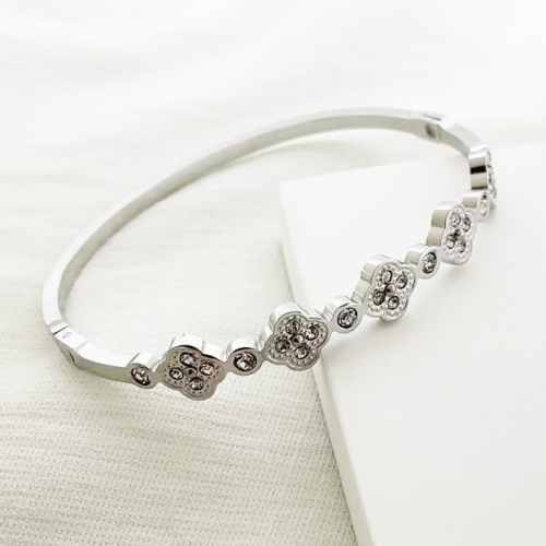 Stainless Steel Brand Bangle-RR230223-Rrs04257-23