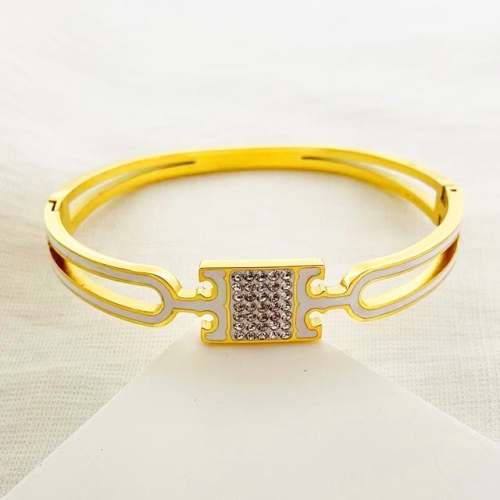 Stainless Steel Brand Bangle-RR230223-Rrs04265-24