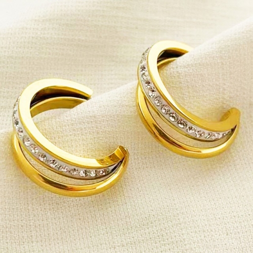 Stainless Steel Brand Earrings-RR230313-Rre0823-18