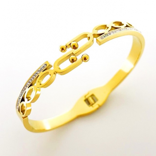 RStainless Steel Brand Bangle-RR230313-Rs04336-24