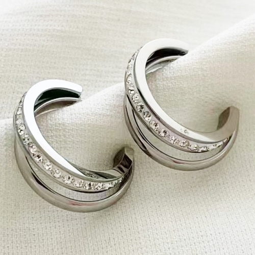 Stainless Steel Brand Earrings-RR230313-Rre0822-17