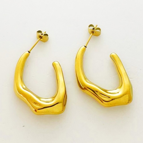 Stainless Steel Brand Earrings-RR230313-Rre0819-16