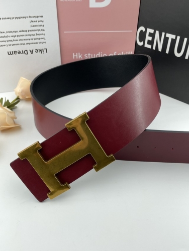 Belt 1764-YX