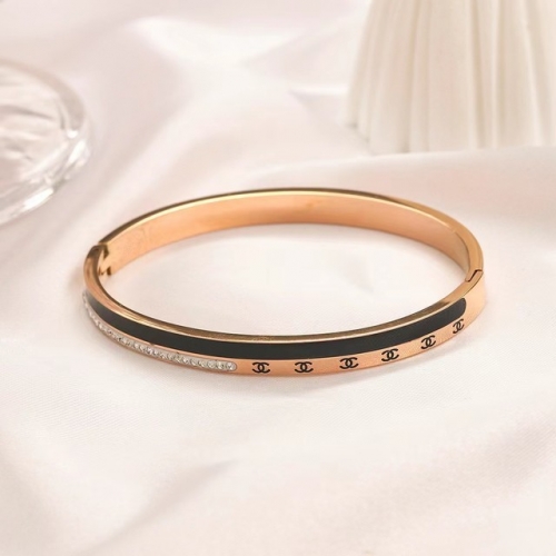 Stainless Steel Brand Bangle-YWA230322-P17.5T6 (1)