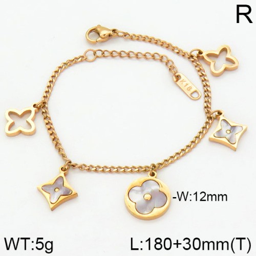 Stainless Steel Brand Bracelet-LILI230404-Br142