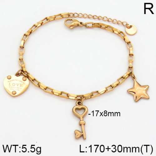 Stainless Steel Brand Bracelet-LILI230404-Br115