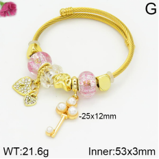 Stainless Steel Bracelet with alloy copper charms-DN230404-P11Y7U (15)