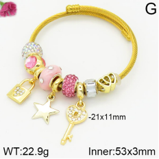 Stainless Steel Bracelet with alloy copper charms-DN230404-P11Y7U (4)