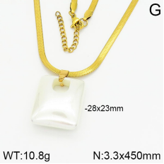 Stainless Steel Necklace-DN230404-P9MUJ