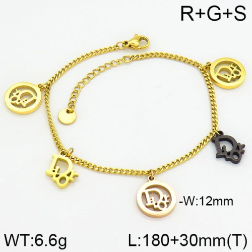 Stainless Steel Brand Bracelet-LILI230404-Br121