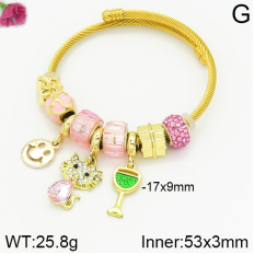 Stainless Steel Bracelet with alloy copper charms-DN230404-P11Y7U (20)