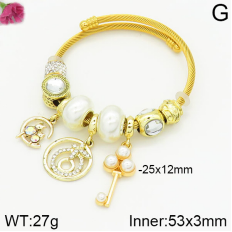 Stainless Steel Bracelet with alloy copper charms-DN230404-P11Y7U (16)