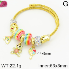 Stainless Steel Bracelet with alloy copper charms-DN230404-P11Y7U (26)