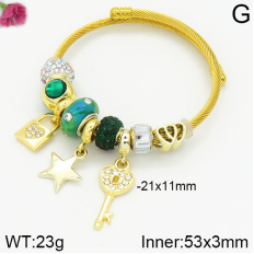 Stainless Steel Bracelet with alloy copper charms-DN230404-P11Y7U (3)