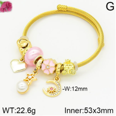 Stainless Steel Bracelet with alloy copper charms-DN230404-P11Y7U (10)