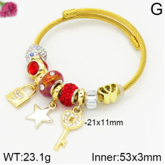 Stainless Steel Bracelet with alloy copper charms-DN230404-P11Y7U (1)