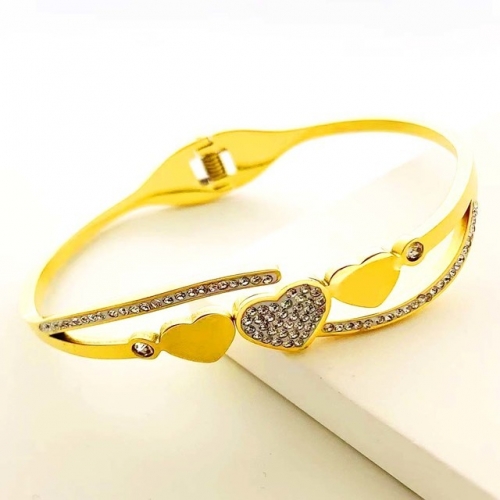 Stainless Steel Brand Bangle-RR230410-Rrs04379-24