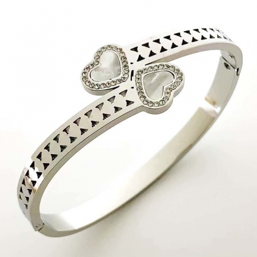 Stainless Steel Brand Bangle-RR230410-Rrs04408-23