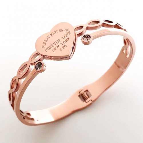 Stainless Steel Brand Bangle-RR230410-Rrs04398-25