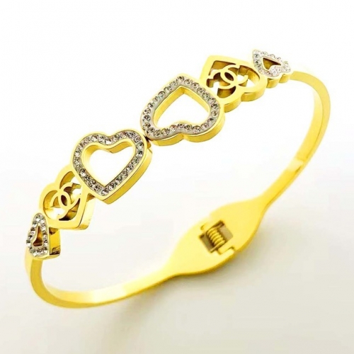 Stainless Steel Brand Bangle-RR230410-Rrs04385-24