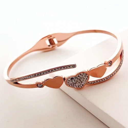 Stainless Steel Brand Bangle-RR230410-Rrs04380-25