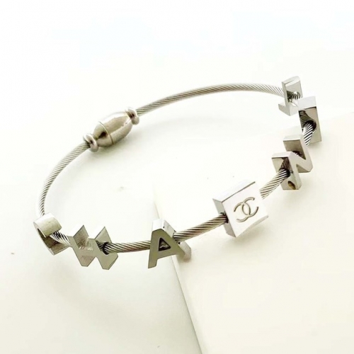 Stainless Steel Brand Bangle-RR230410-Rrs04367-23