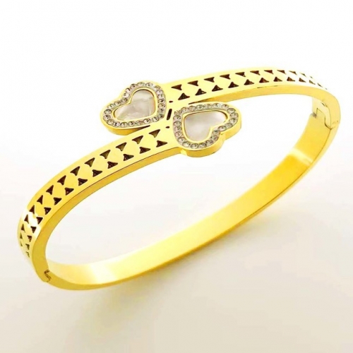 Stainless Steel Brand Bangle-RR230410-Rrs04409-24