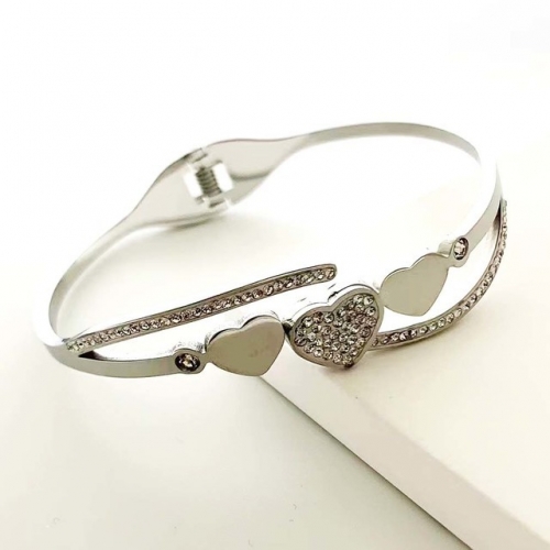 Stainless Steel Brand Bangle-RR230410-Rrs04378-23