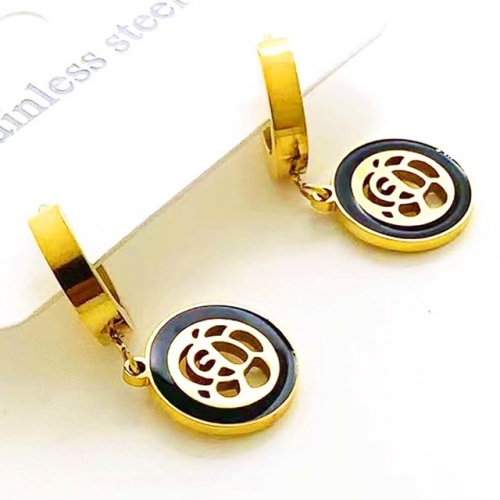 Stainless Steel Brand Earrings-RR230410-Rre0854-13