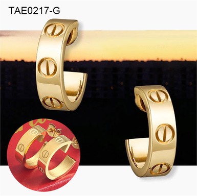 Stainless Steel Brand Earrings-SN230416-TAE0217-G-12