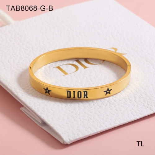 Stainless Steel Brand Bangle-SN230416-TAB8068-G-B-19.5