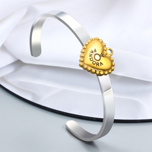 Stainless Steel Pandor*a Bangle-CH230419-P11.5XS