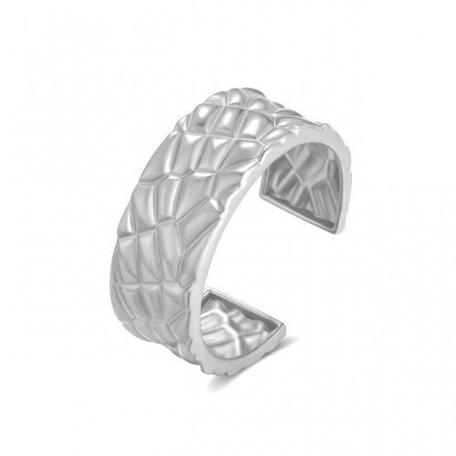 Stainless Steel Ring-PD230419-2-S2.2G3-PR0002