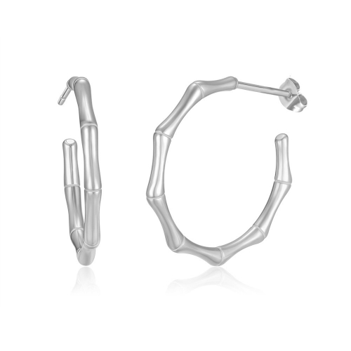 Stainless Steel Earrings-PD230419-S3.2G3.8-PE380